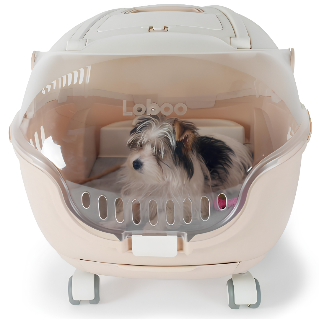 Chariot & Cage de Transport Urbaine à Roues — Chien et Chat (58,5 x 47 x 47 cm)