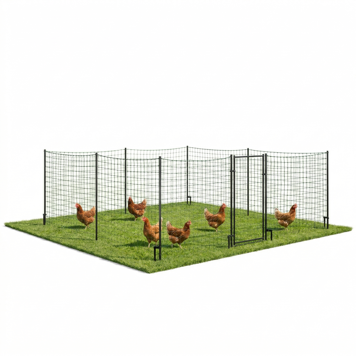 Filet Enclos Poules 21m Hauteur 1,25m — Anti-Prédateur Anti-Renard Anti-Fouine Piquets Inclus