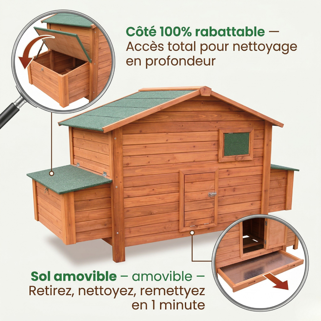 Poulailler Bois Grand Format — Pondoir Surélevé Côté Rabattable Sol Amovible