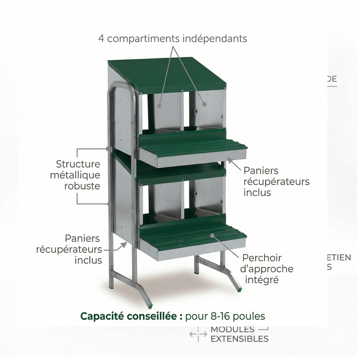Batterie de Pondoirs Métallique 4 Compartiments sur Pieds — Fond Plastique & Collecteur d'Œufs