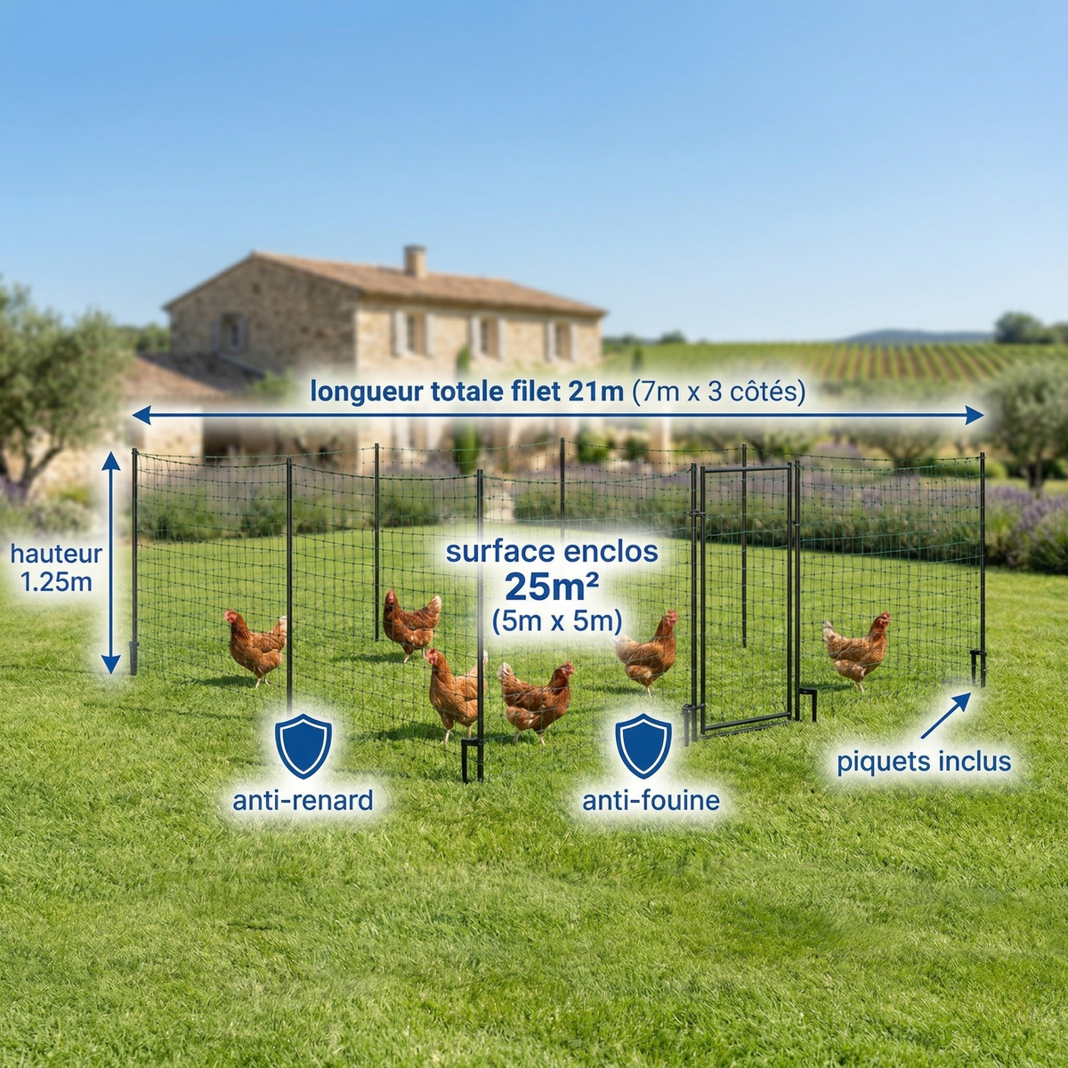 Filet Enclos Poules 21m Hauteur 1,25m — Anti-Prédateur Anti-Renard Anti-Fouine Piquets Inclus