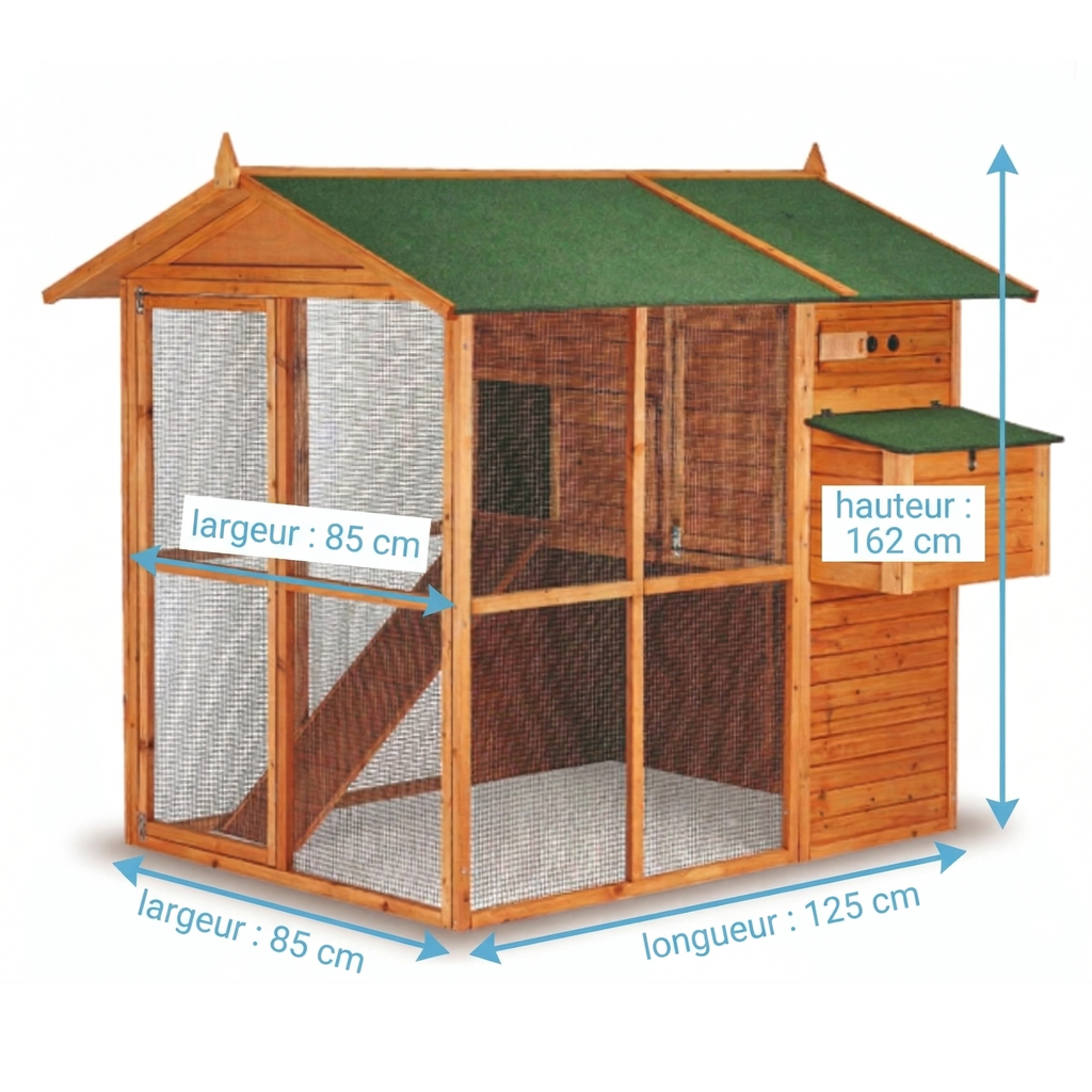 Grand Poulailler XXL en Bois avec Enclos Haute Hauteur & Pondoir Suspendu