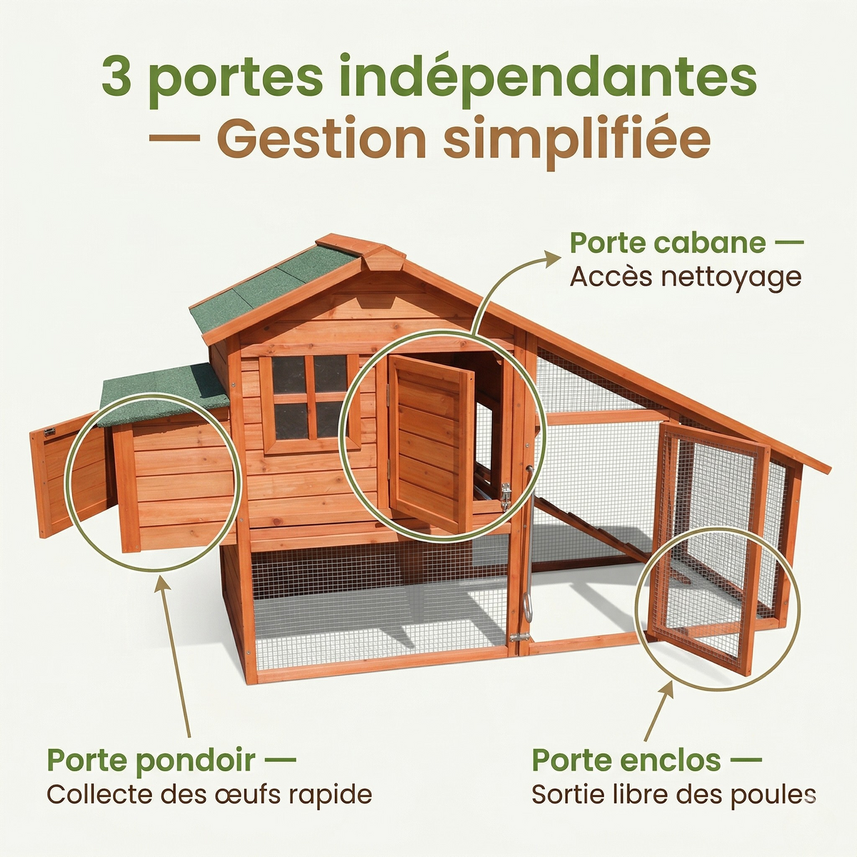 Poulailler  Bois — Enclos Intégré Grand Pondoir Portes Indépendantes