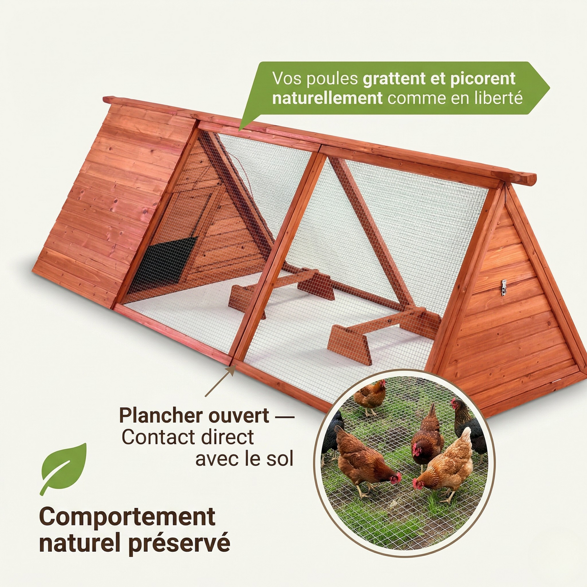 Poulailler Bois Format Allongé — Plancher Ouvert Poignée Transport Pré-Assemblé