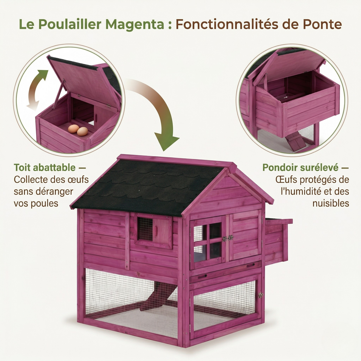 Poulailler Bois 2 Niveaux — Pondoir Surélevé Parc Grillagé Rampe
