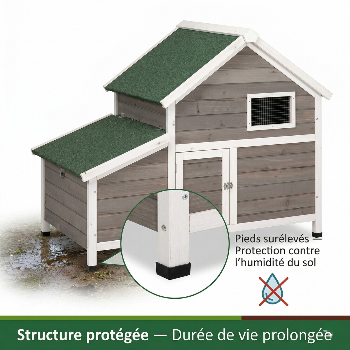 Poulailler en Bois Peint — Toit Imperméable Rabattable Fenêtre Ventilation