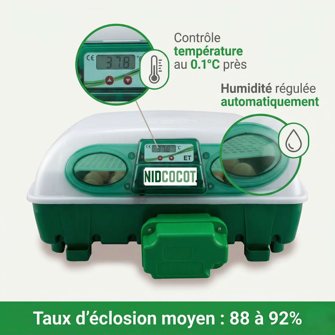 Couveuse Digitale Automatique 12 Œufs — Panier Universel & Éclairage LED Intérieur