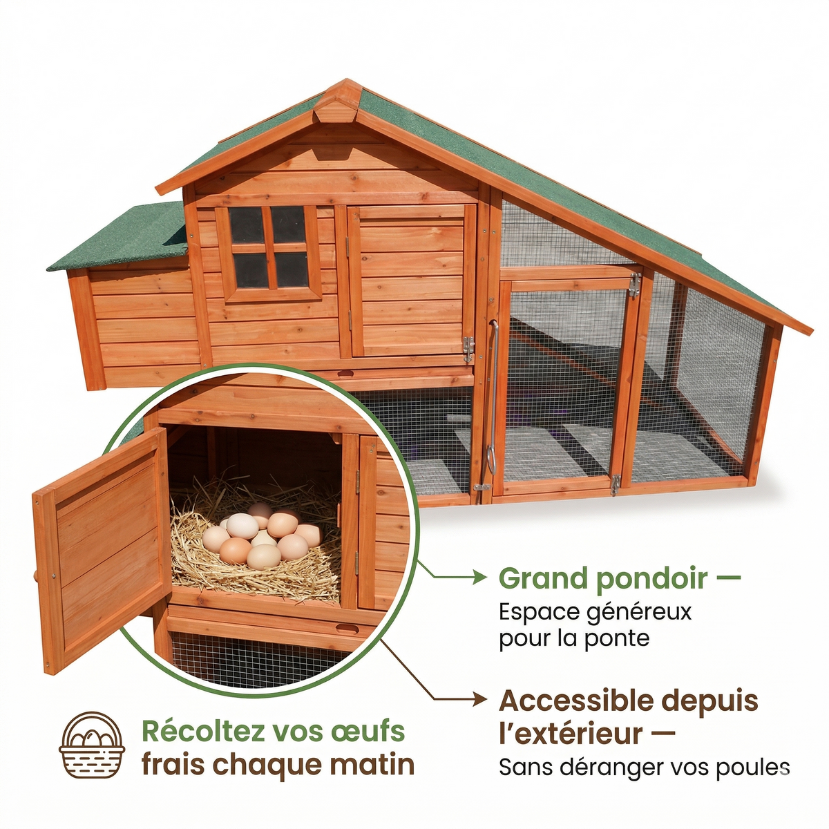 Poulailler  Bois — Enclos Intégré Grand Pondoir Portes Indépendantes