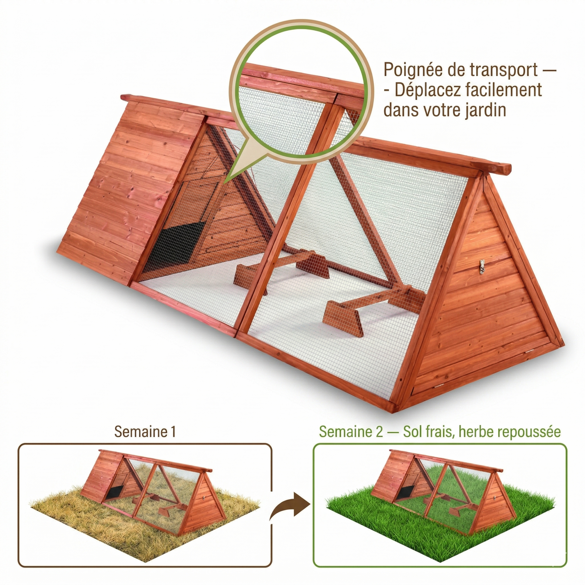 Poulailler Bois Format Allongé — Plancher Ouvert Poignée Transport Pré-Assemblé
