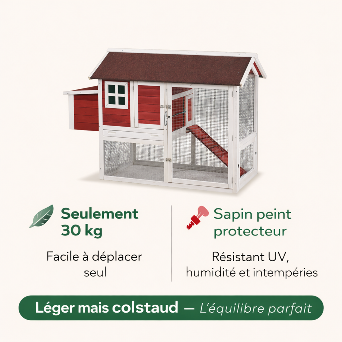 Poulailler Sapin Peint 2 Niveaux — Toit Imperméable Rampe Pondoir