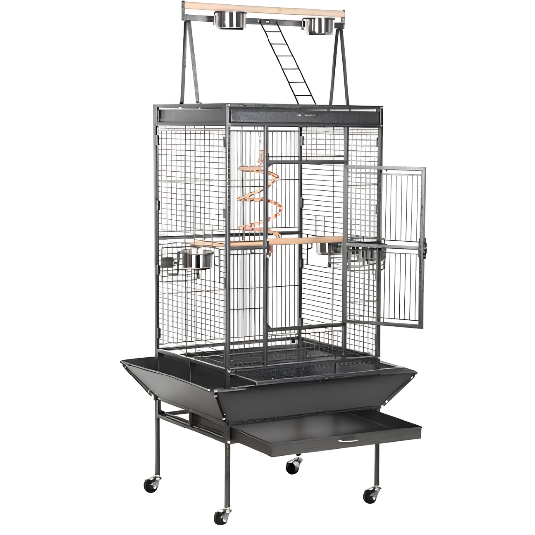 Grande Cage Perroquet Métal sur Roulettes avec Zone de Jeu Supérieure & Jupe Anti-Projections (81 x 76 x 174 cm)