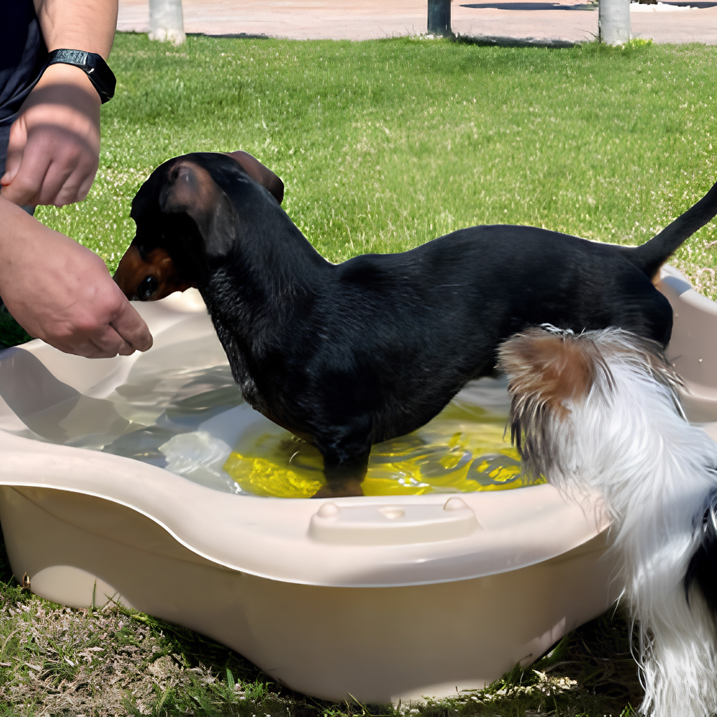 Baignoire & Piscine Éco-Conçue pour Chien — Loboo Beige Alaska (88,5 x 91 x 20 cm)