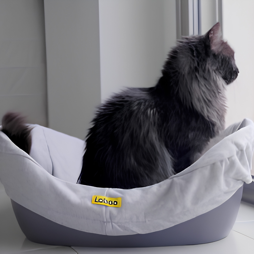 Cage / Sac de Transport Ergonomique — Chien et Chat (58,5 x 47 x 34,5 cm)