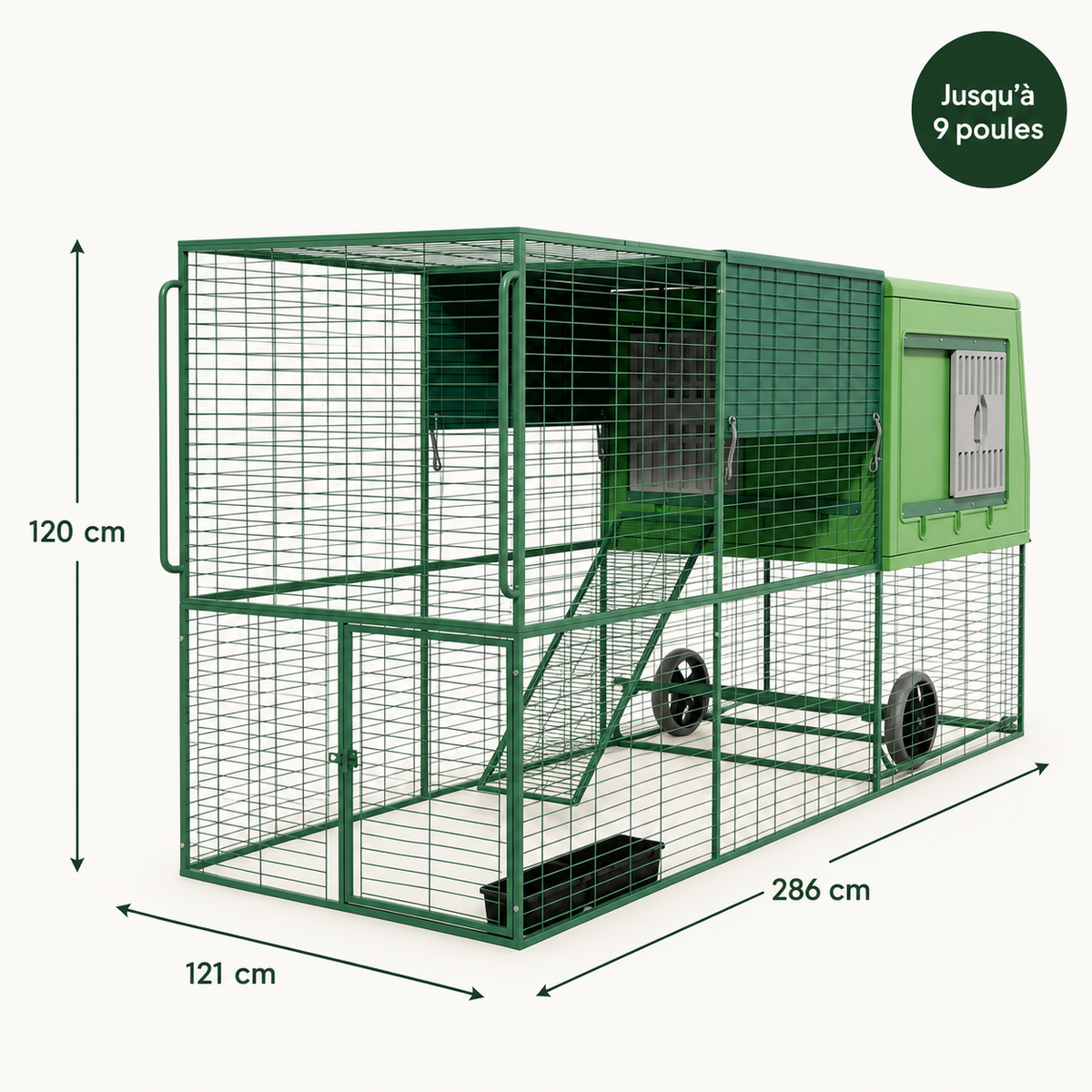 Poulailler Mobile Plastique  XXL — Grande Capacité Structure Galvanisée