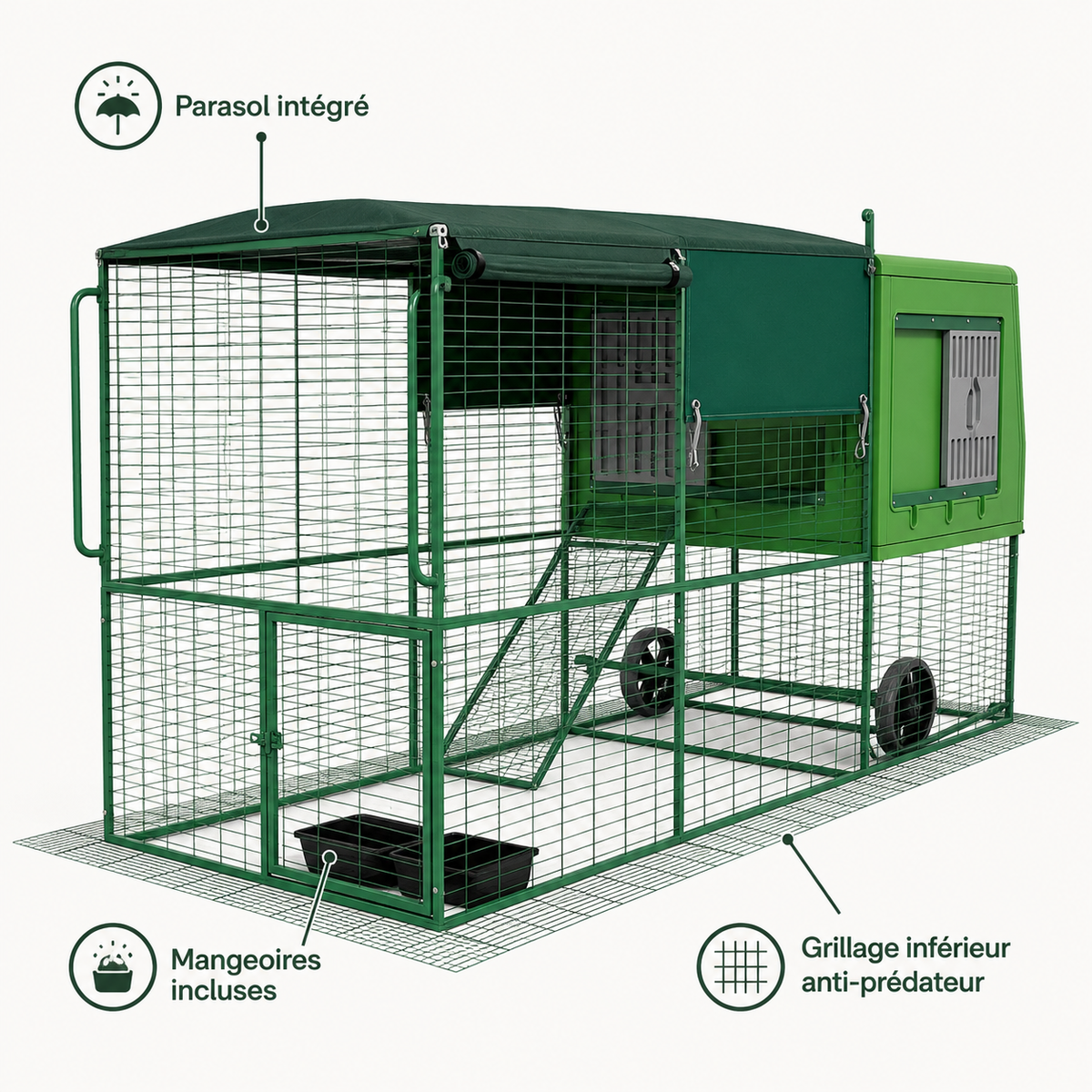 Poulailler Mobile Plastique  XXL — Grande Capacité Structure Galvanisée