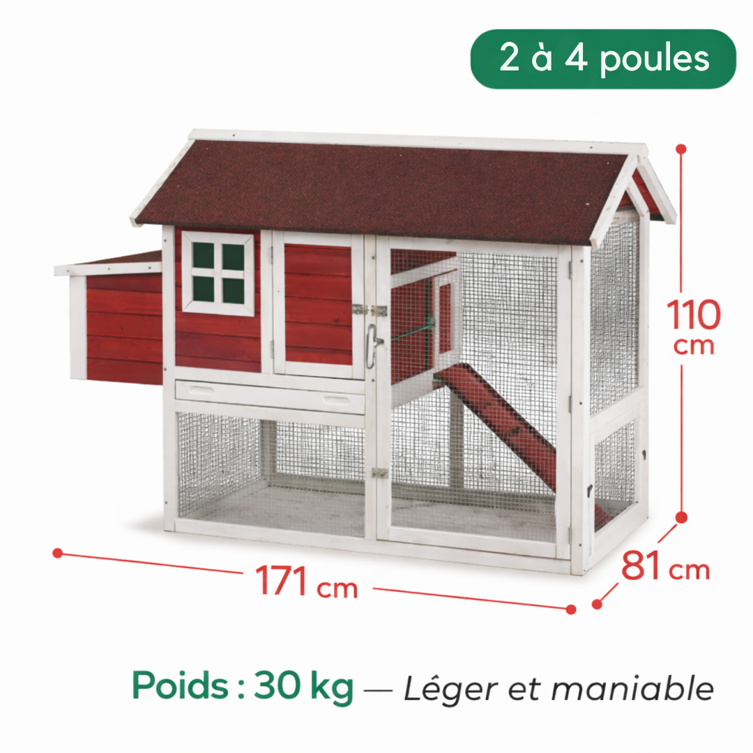 Poulailler Sapin Peint 2 Niveaux — Toit Imperméable Rampe Pondoir
