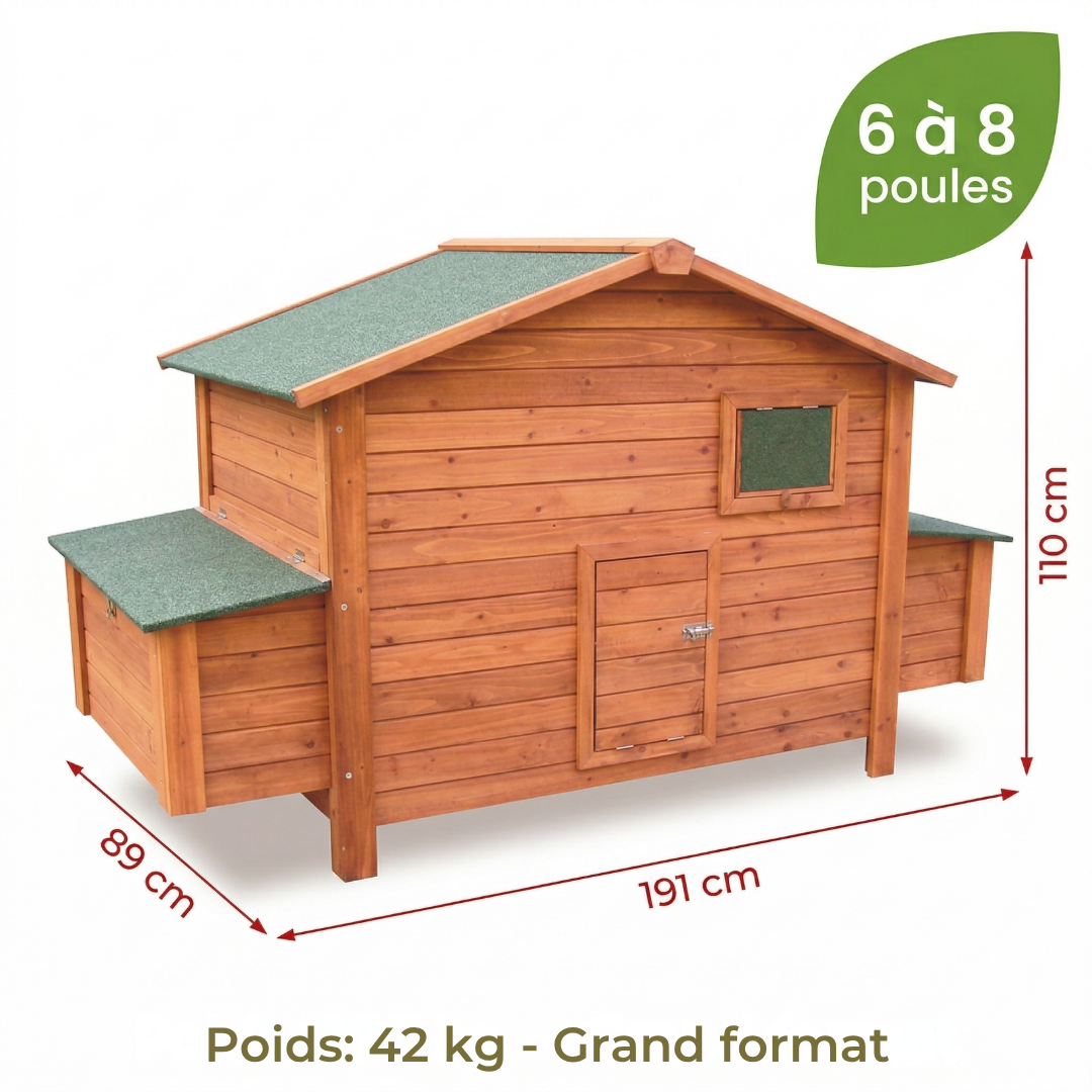 Poulailler Bois Grand Format — Pondoir Surélevé Côté Rabattable Sol Amovible