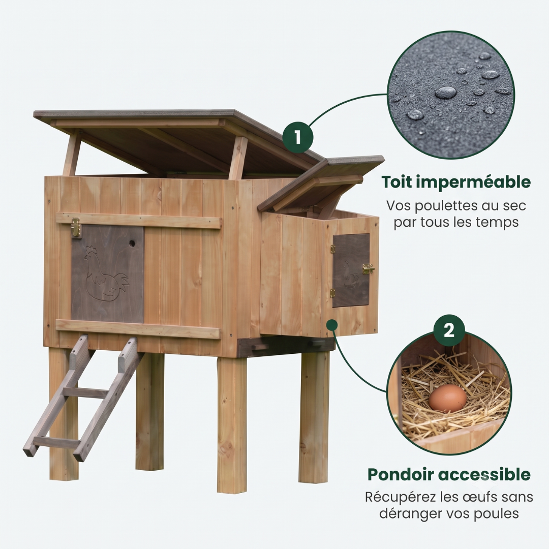 Poulailler 3 4 Poules en Bois Pin Nordique — Pondoir Toit Ouvrant Échelle Incluse
