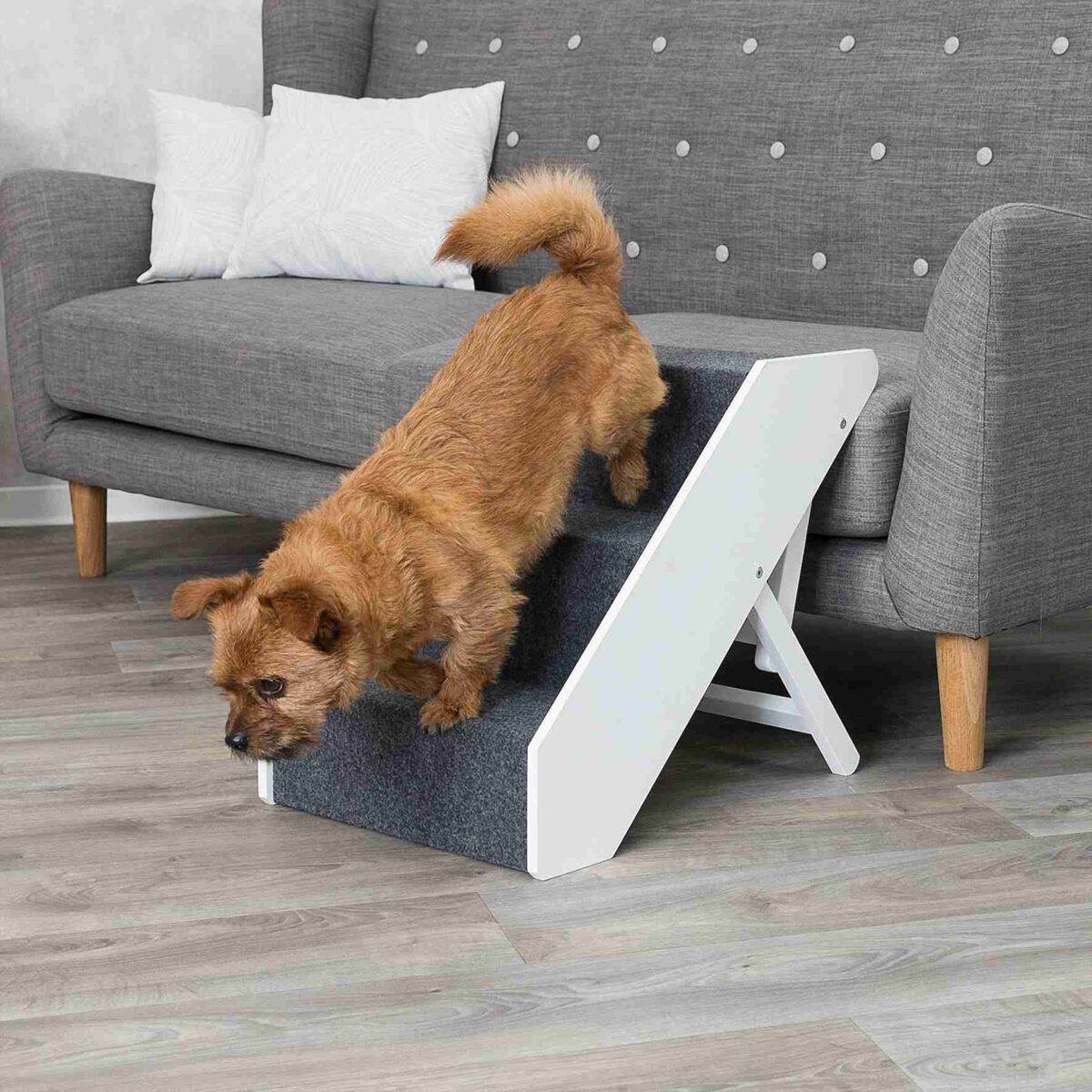 Escalier TRIXIE réglable en bois, revêtement antidérapant, utilisé par un chien