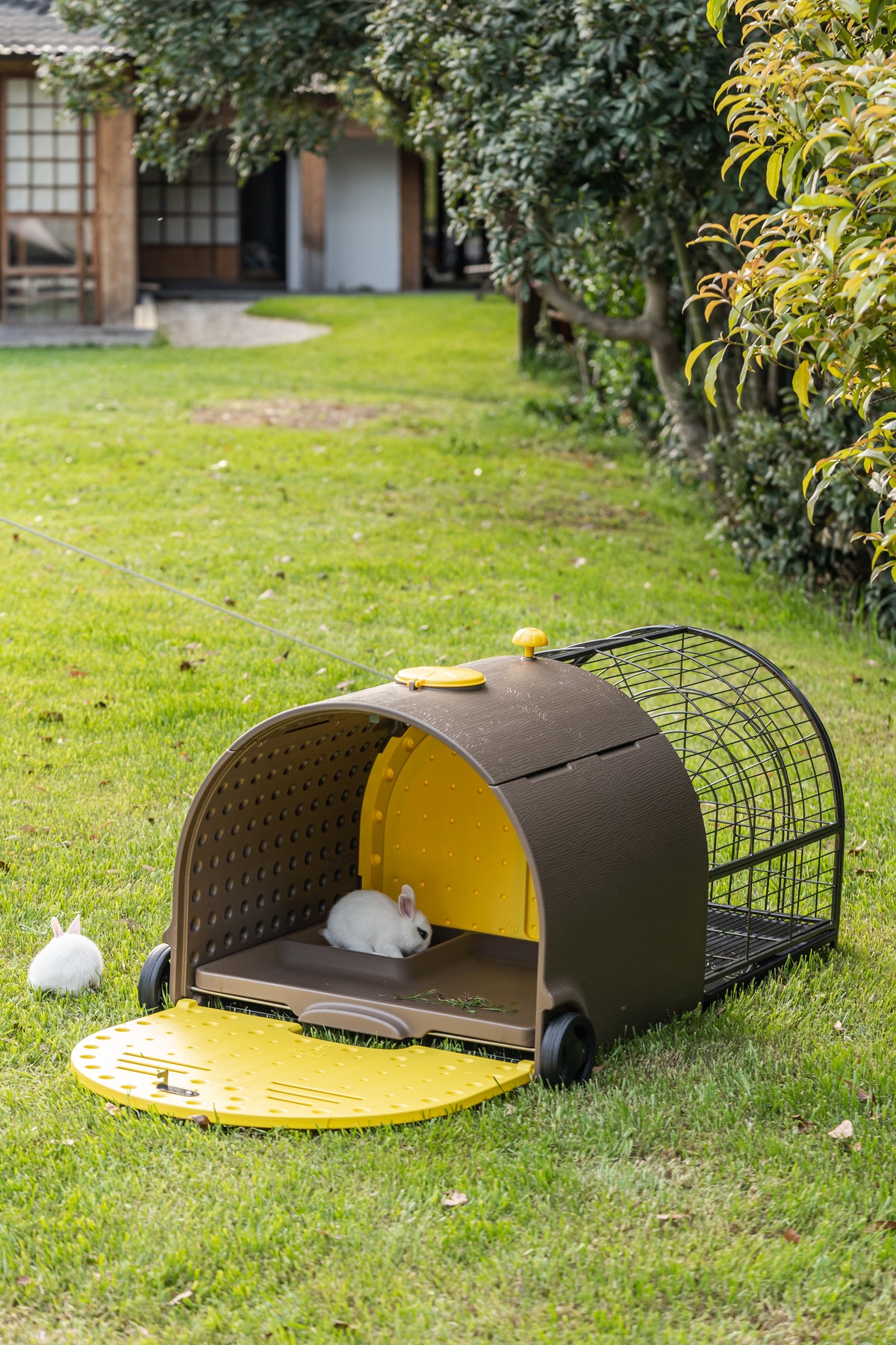 Clapier PREMIUM Mobile Plastique HDPE pour Lapin & Rongeurs — Isolé avec Roues & Double Tiroir