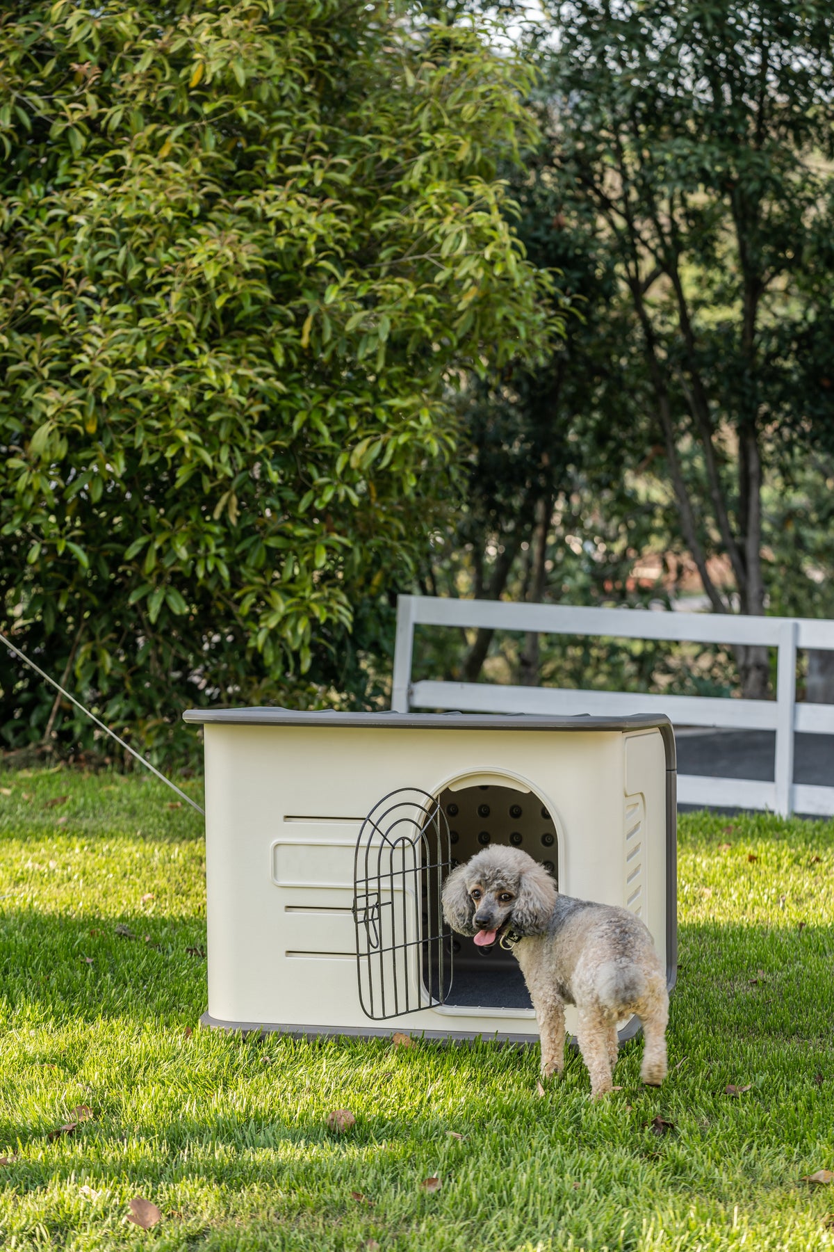Niche PREMIUM Isotherme Plastique HDPE pour Petit et Moyen Chien — Double Paroi & Base Surélevée