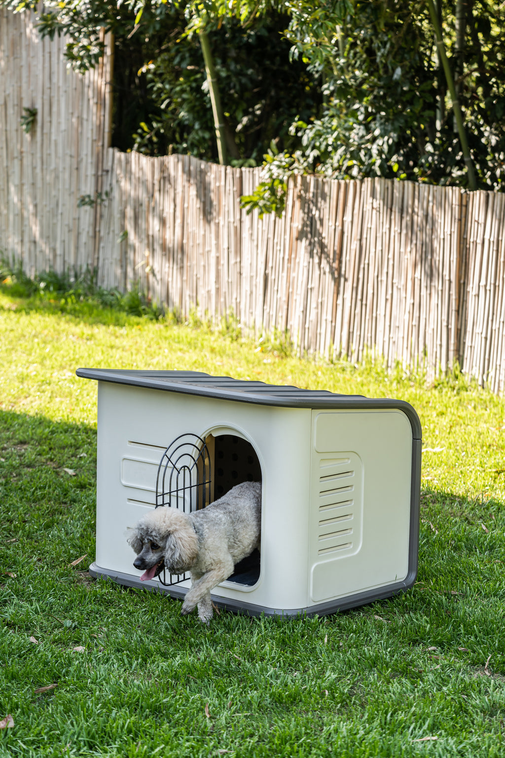 Niche PREMIUM Isotherme Plastique HDPE pour Petit et Moyen Chien — Double Paroi & Base Surélevée