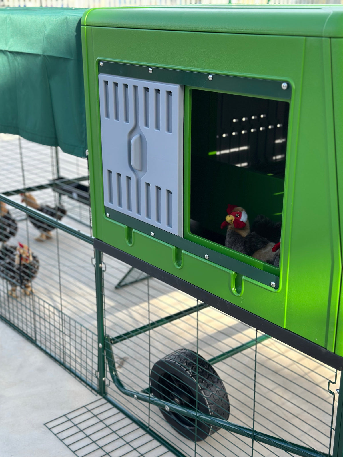Poulailler Mobile Plastique  XXL — Grande Capacité Structure Galvanisée
