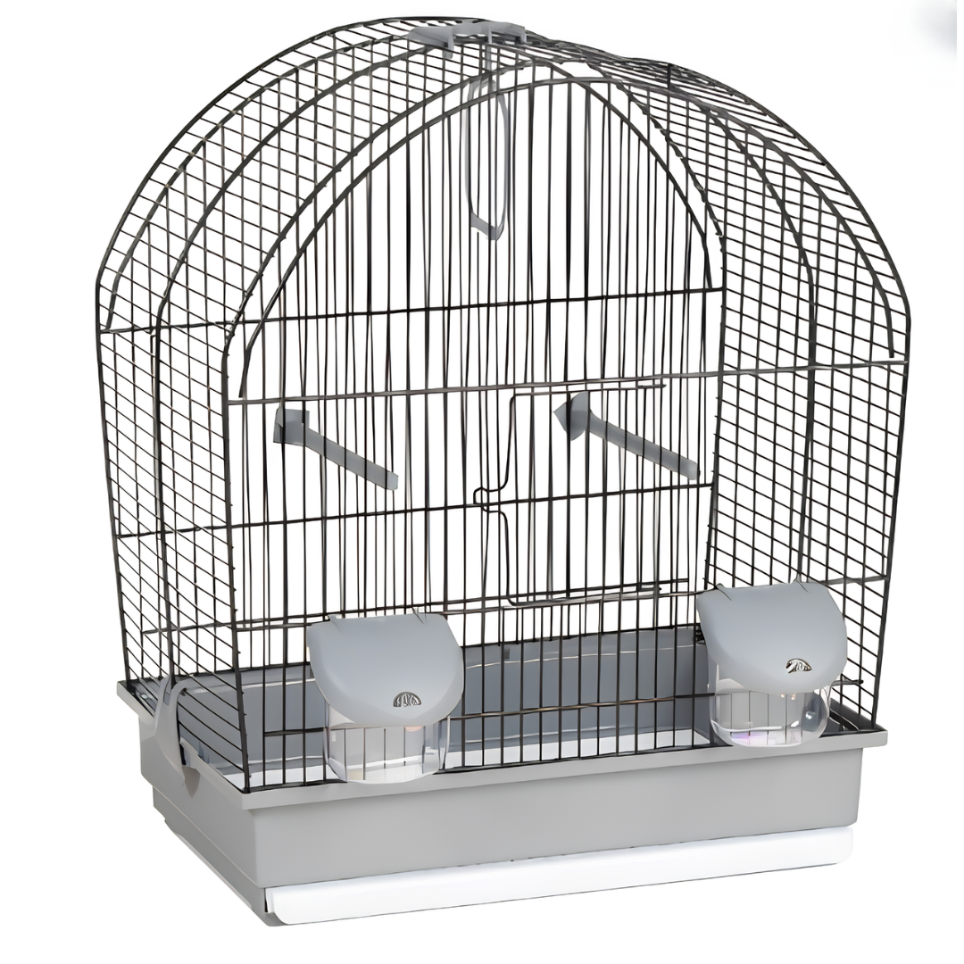 Cage Rectangulaire Classique pour Petits Oiseaux avec Mangeoires — Noire & Grise (39 x 25,5 x 48 cm)