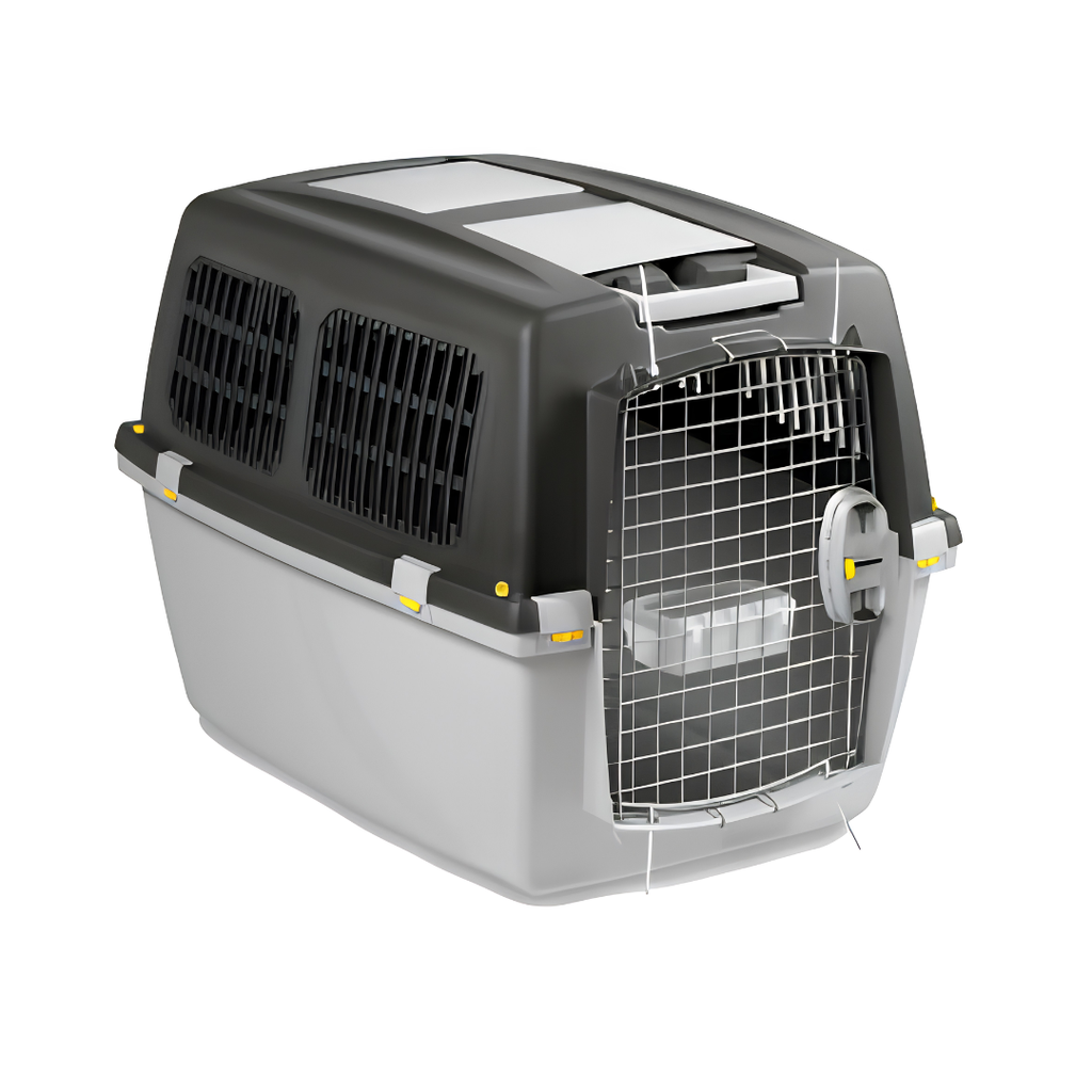 Cage de Transport Renforcée pour Chien — Modèle Bullterrier (78 x 60 x 60 cm)