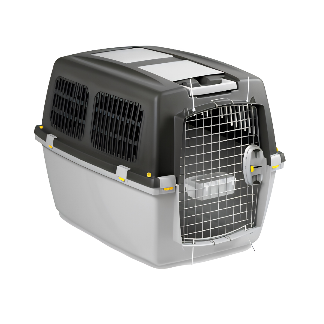 Cage de Transport Renforcée pour Chien — Modèle Bullterrier (78 x 60 x 60 cm)