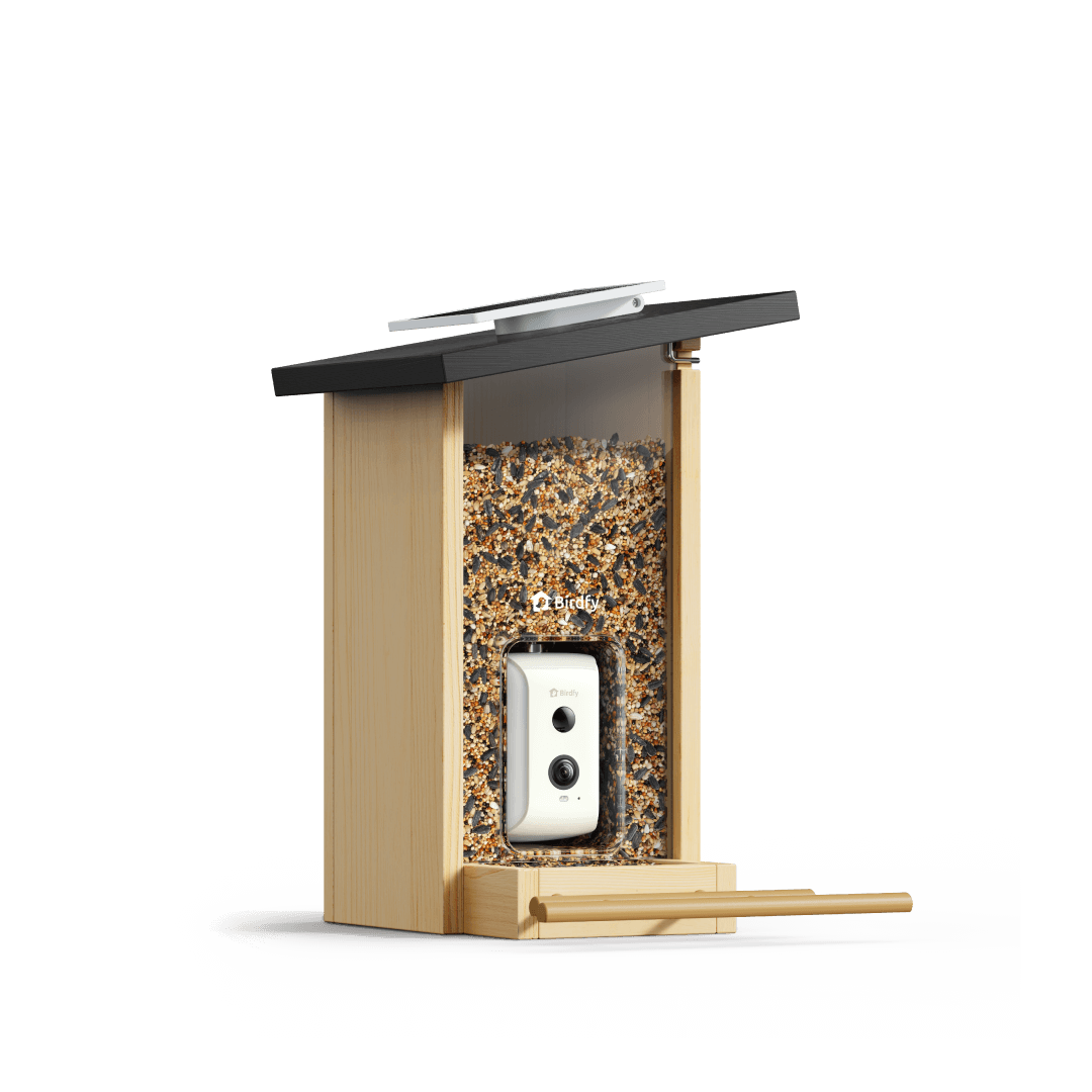 Mangeoire avec caméra Birdfy Ebony Lite — panneau solaire inclus
