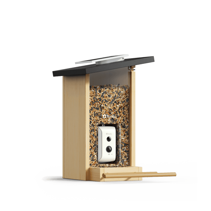 Mangeoire avec caméra Birdfy Ebony Lite — panneau solaire inclus