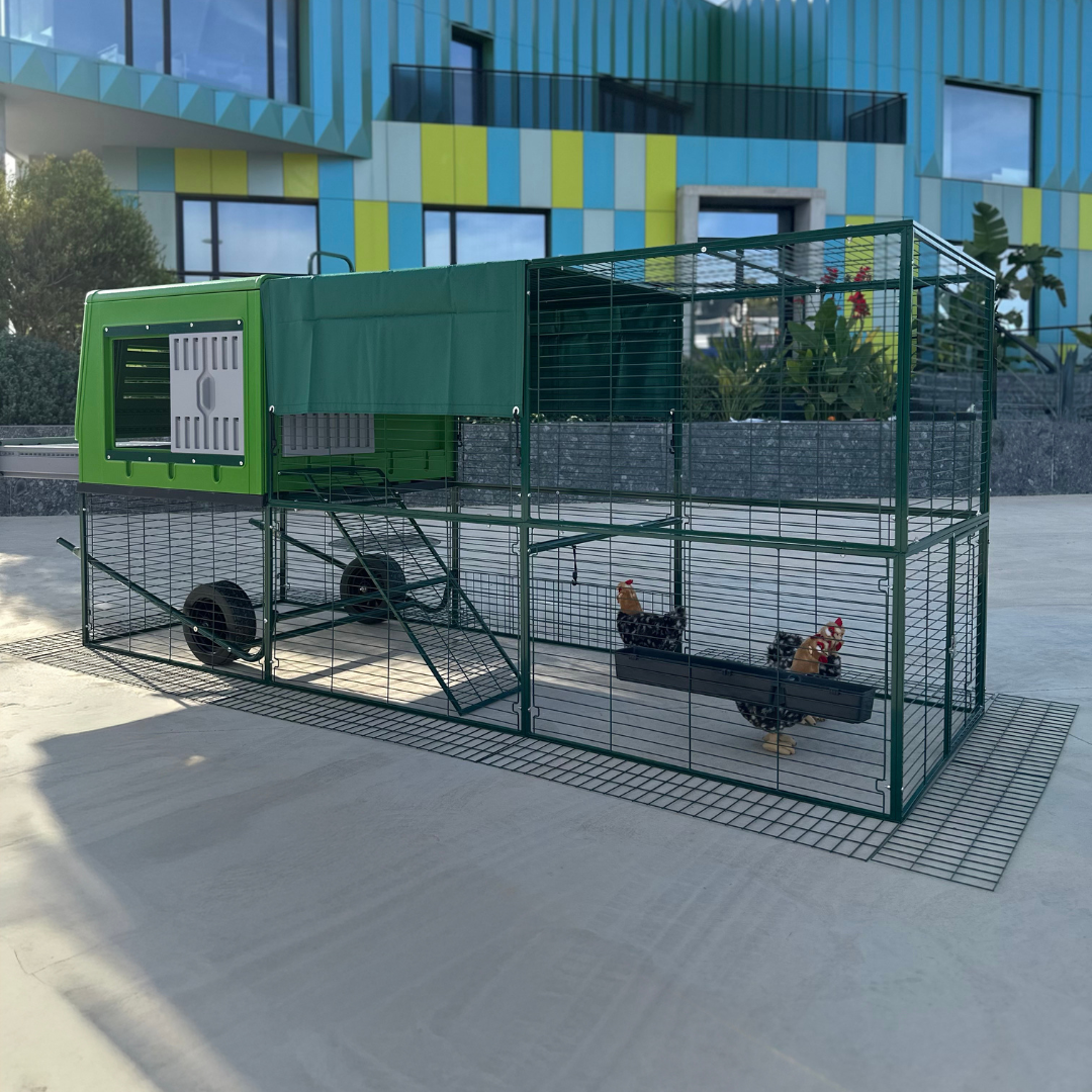 Poulailler Mobile Plastique  XXL — Grande Capacité Structure Galvanisée